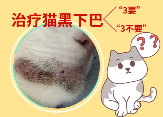 猫黑下巴怎么去除?