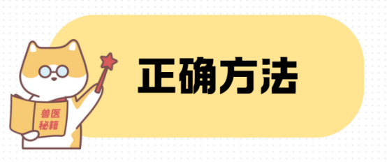 猫咪黑下巴