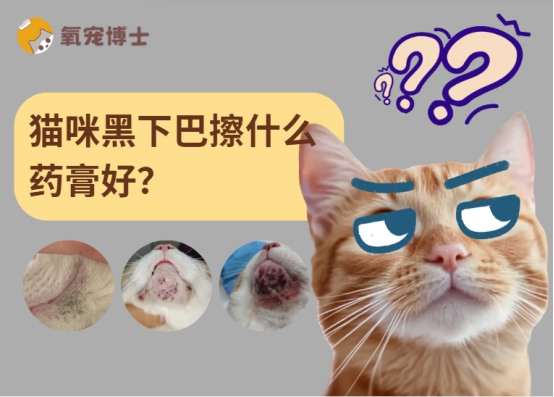猫咪黑下巴擦什么药膏好?