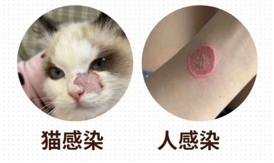 狗狗长癣会传染人吗？