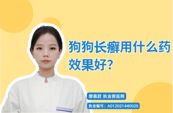 狗狗长癣用什么药效果好？