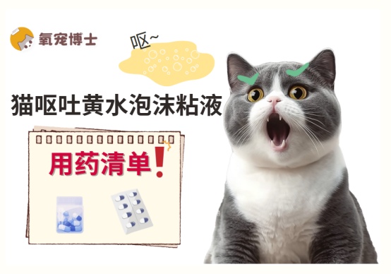猫呕吐黄水泡沫粘液怎么办?