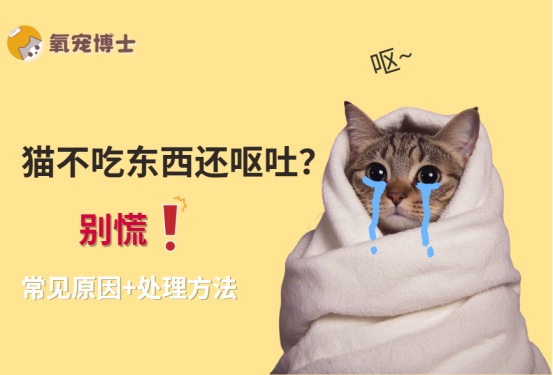 猫不吃东西还呕吐是什么原因?