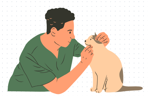 猫不吃东西还呕吐吃什么药?