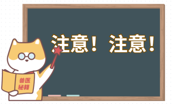 猫咪呕吐是什么原因
