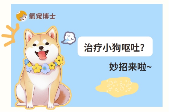 治疗小狗呕吐的方法