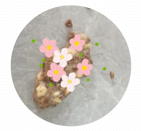 猫咪吐食物