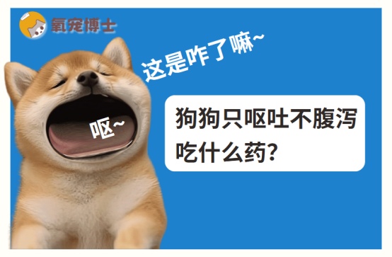 狗狗只呕吐不腹泻吃什么药？