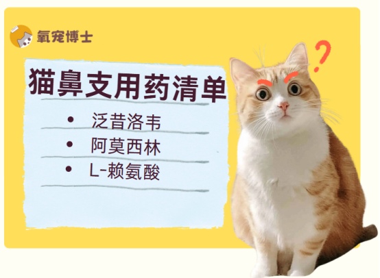 猫咪得了猫鼻支吃什么药好的快