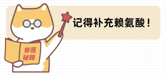猫咪得了猫鼻支吃什么药效果好?