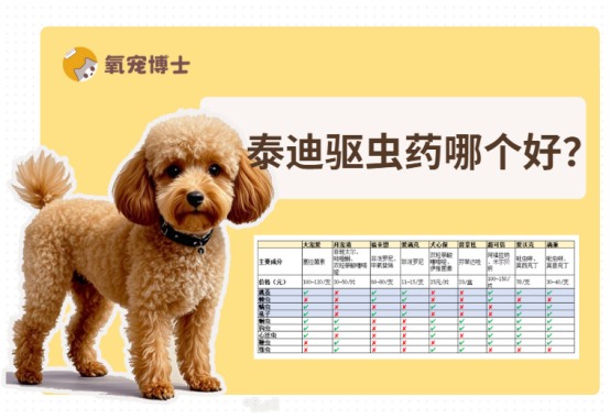 泰迪驱虫药选择指南：常见寄生虫防治方法全解析