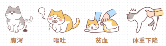 猫咪吐虫子怎么办？