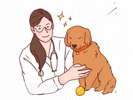 小狗驱虫药