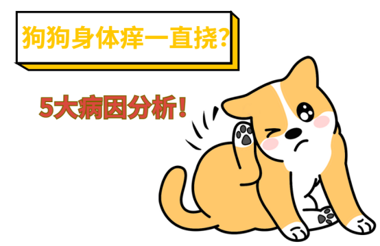狗狗身体痒一直挠