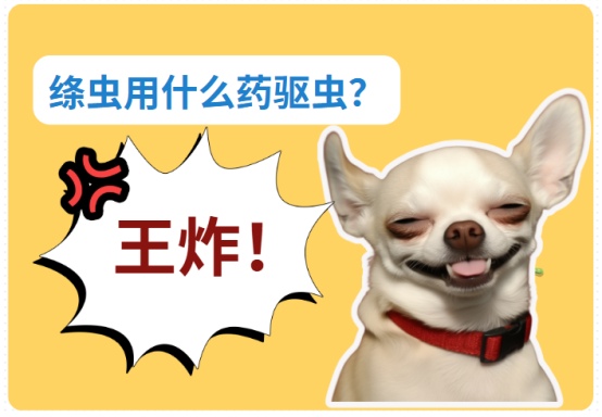 绦虫用什么药驱虫最好?