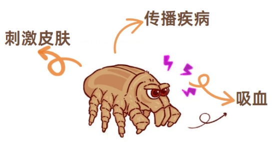 狗狗蜱虫