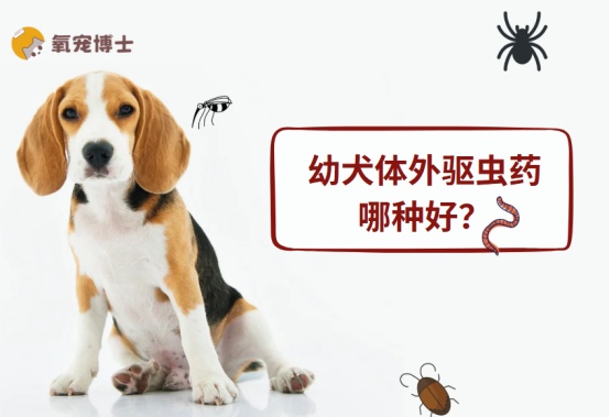 幼犬体外驱虫药哪种好