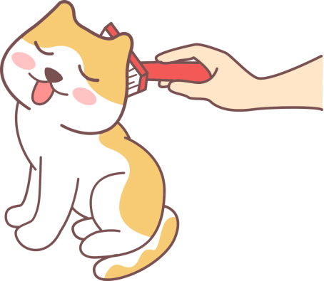 怎么给猫梳毛?
