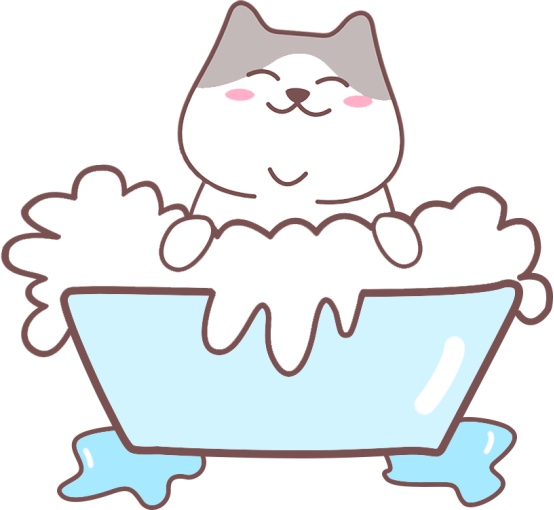 猫毛打结成块怎么办?