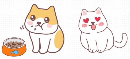 猫咪黑下巴