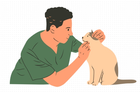 猫癣怎么治？