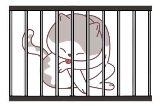 猫癣