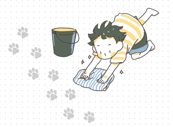 猫癣多久才能治好？