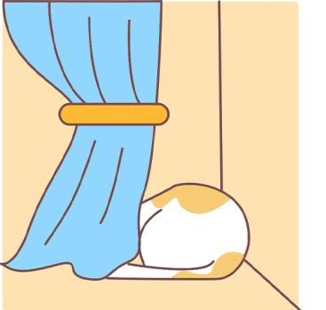 猫癣的原因