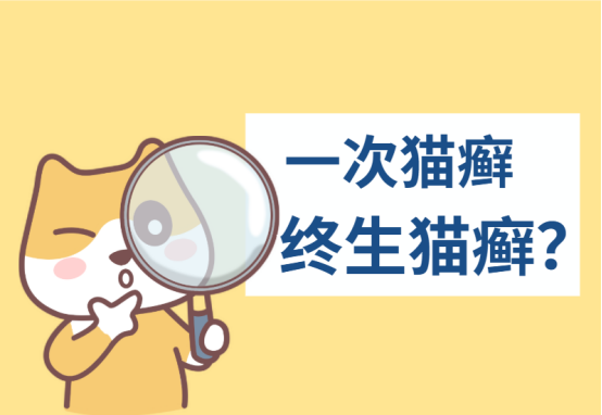猫癣会终身携带吗？专家揭秘猫咪真菌感染真相