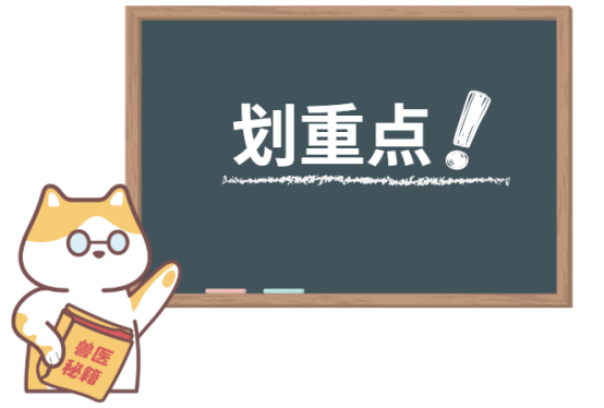 猫癣复发怎么办？