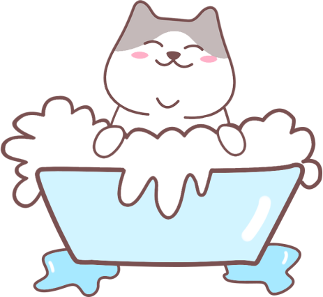 猫癣怎么治疗?