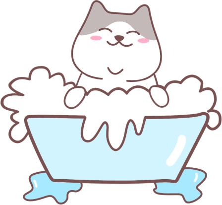 猫癣怎么治疗?