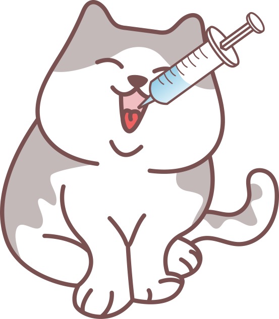 猫癣用什么药?