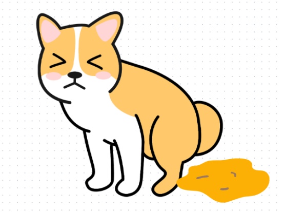 狗狗腹泻呈黄褐色泥浆