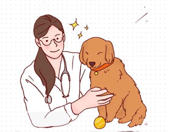 狗狗腹泻吃什么药?
