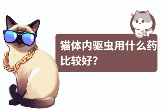 猫咪体内驱虫药选择指南：常见寄生虫防治方法