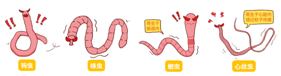 猫体内驱虫用什么药?