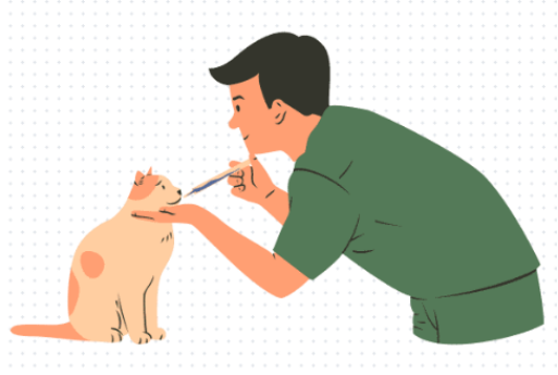 猫体内驱虫
