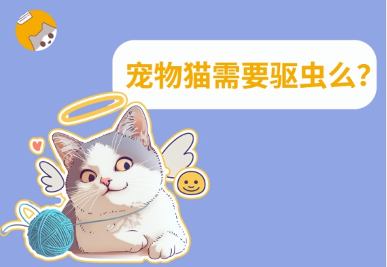 宠物猫需要驱虫么?