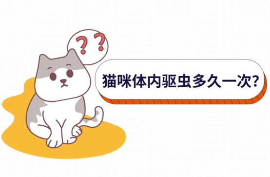 猫咪体内驱虫多久一次?