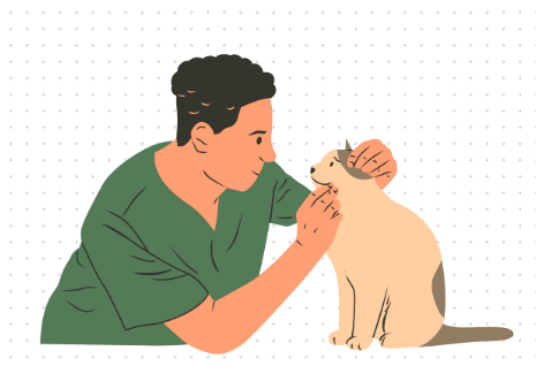 猫拉稀吃什么药?