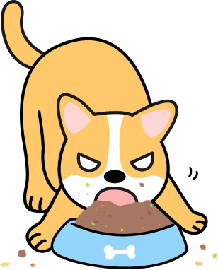 狗狗呕吐的原因