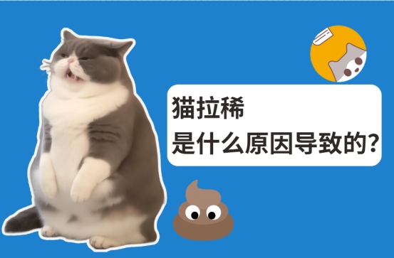 猫拉稀是什么原因导致的?