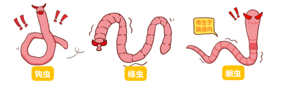 猫拉稀是怎么回事?