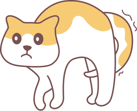 猫拉稀怎么办?