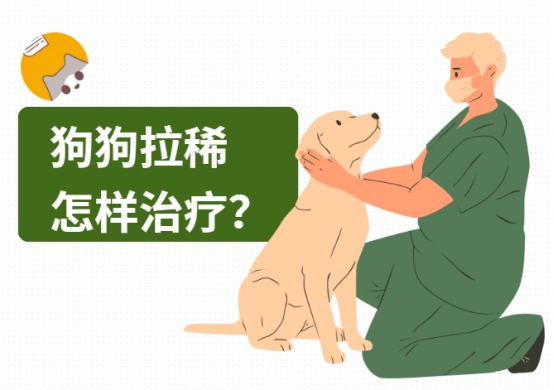 狗狗拉稀怎样治疗？