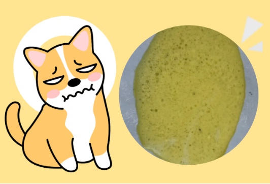 狗狗呕吐黄水泡沫粘液吃什么药？