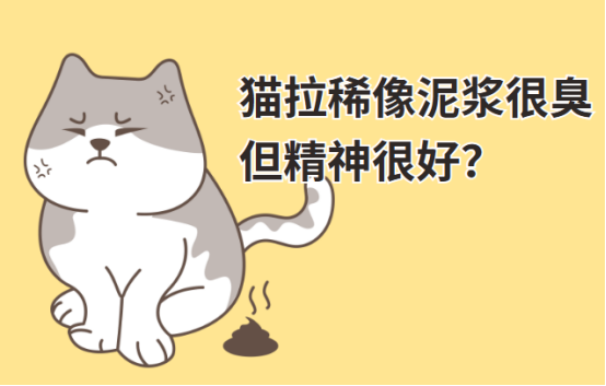 猫拉稀像泥浆很臭但精神很好是怎么回事?