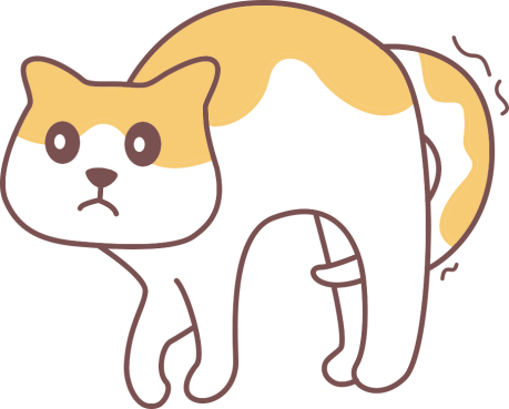 猫拉稀像泥浆是怎么回事?