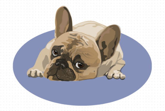 狗狗老打喷嚏怎么办？